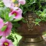 Petuniat ja ripaus antiikkia